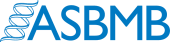 asbmb
